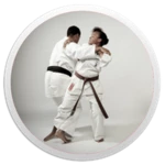 karate basics android application logo